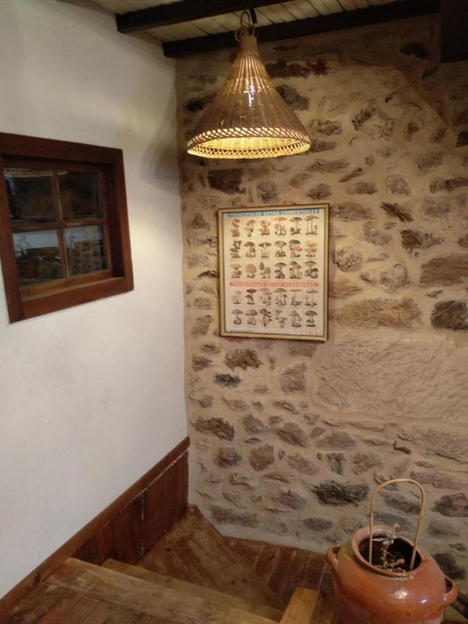 Casa Ribeira Sacra, Ourense, Ninodaguia, Galicia Extérieur photo